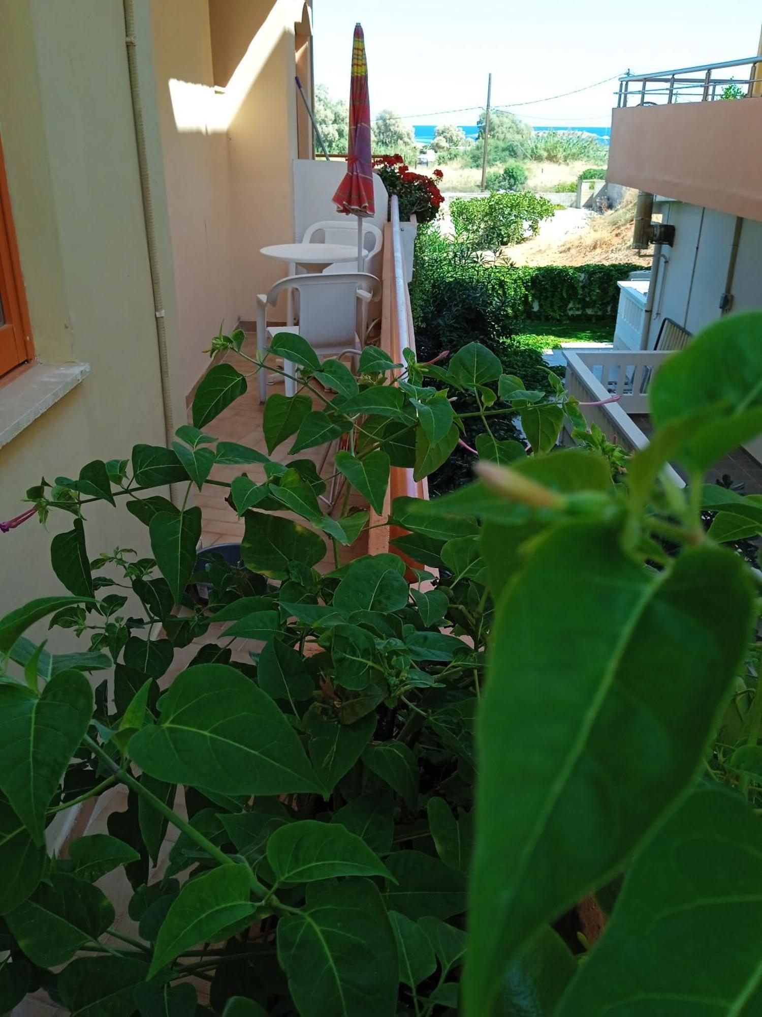 Ilona Apartments Chania Kato Daratso Bilik gambar