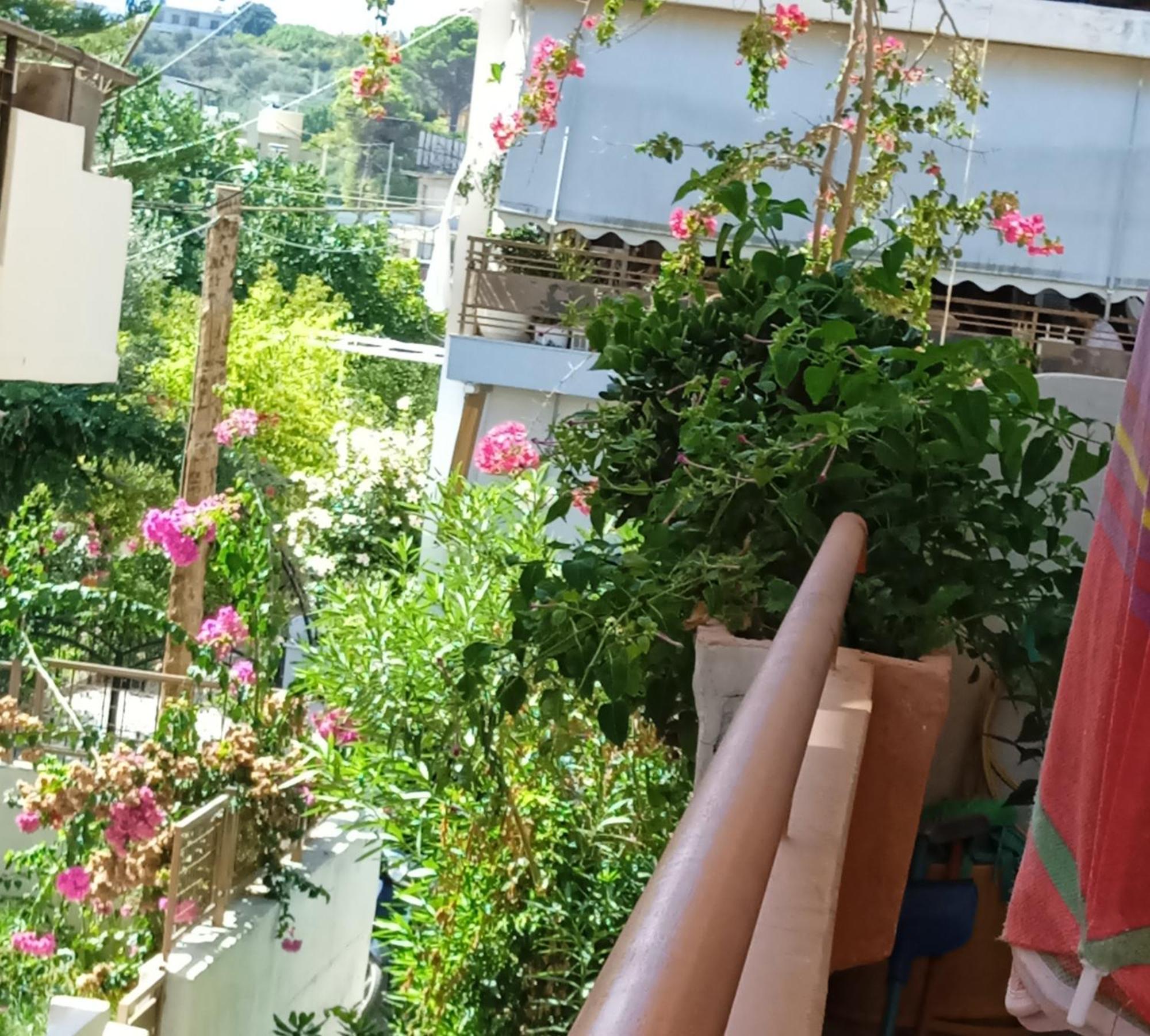 Ilona Apartments Chania Kato Daratso Bilik gambar