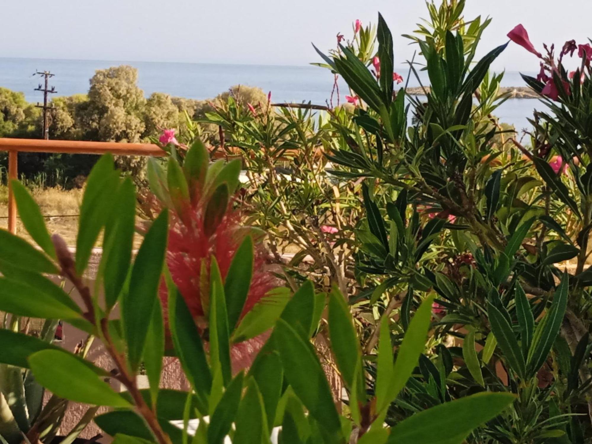 Ilona Apartments Chania Kato Daratso Bilik gambar