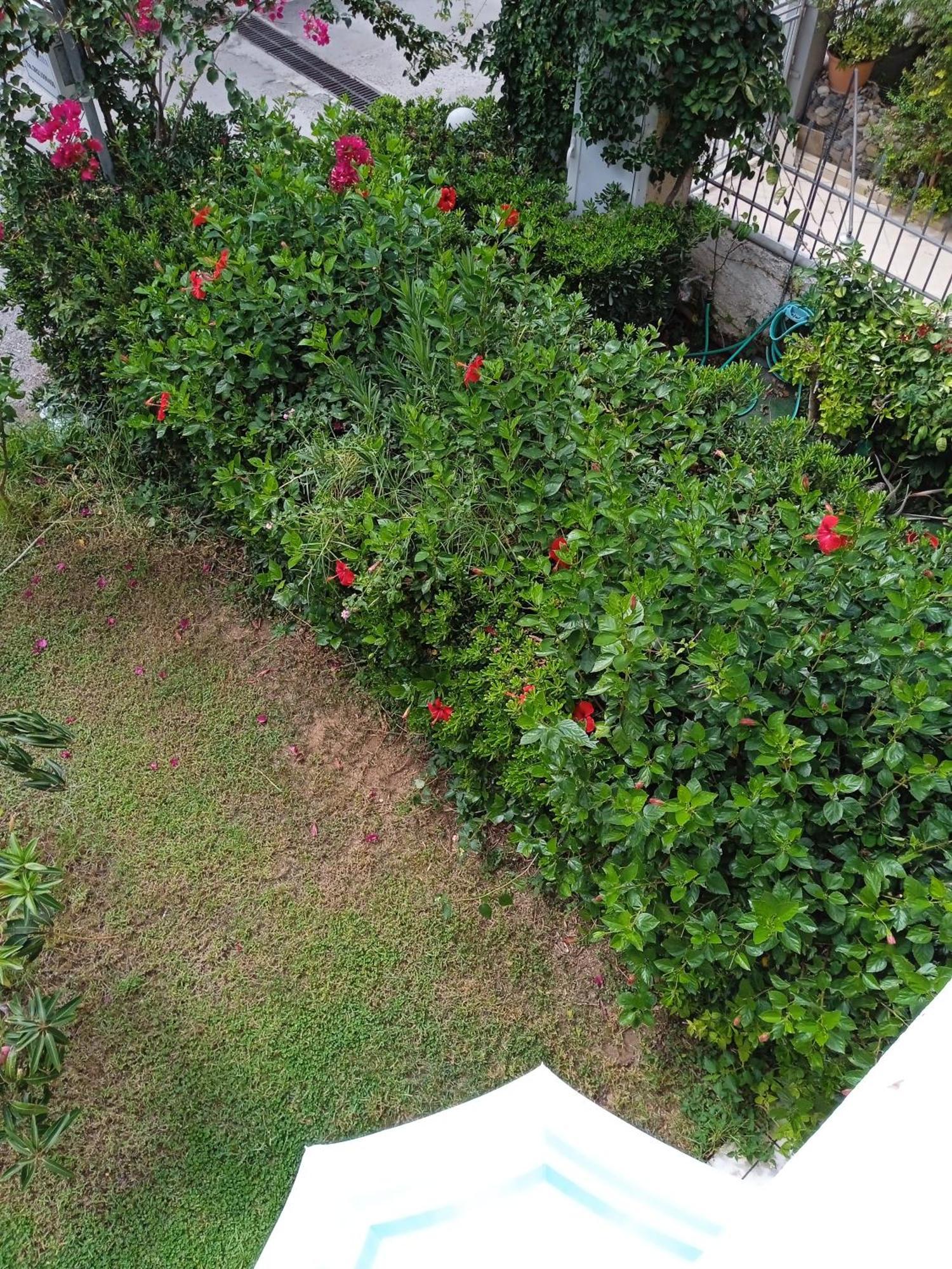 Ilona Apartments Chania Kato Daratso Bilik gambar