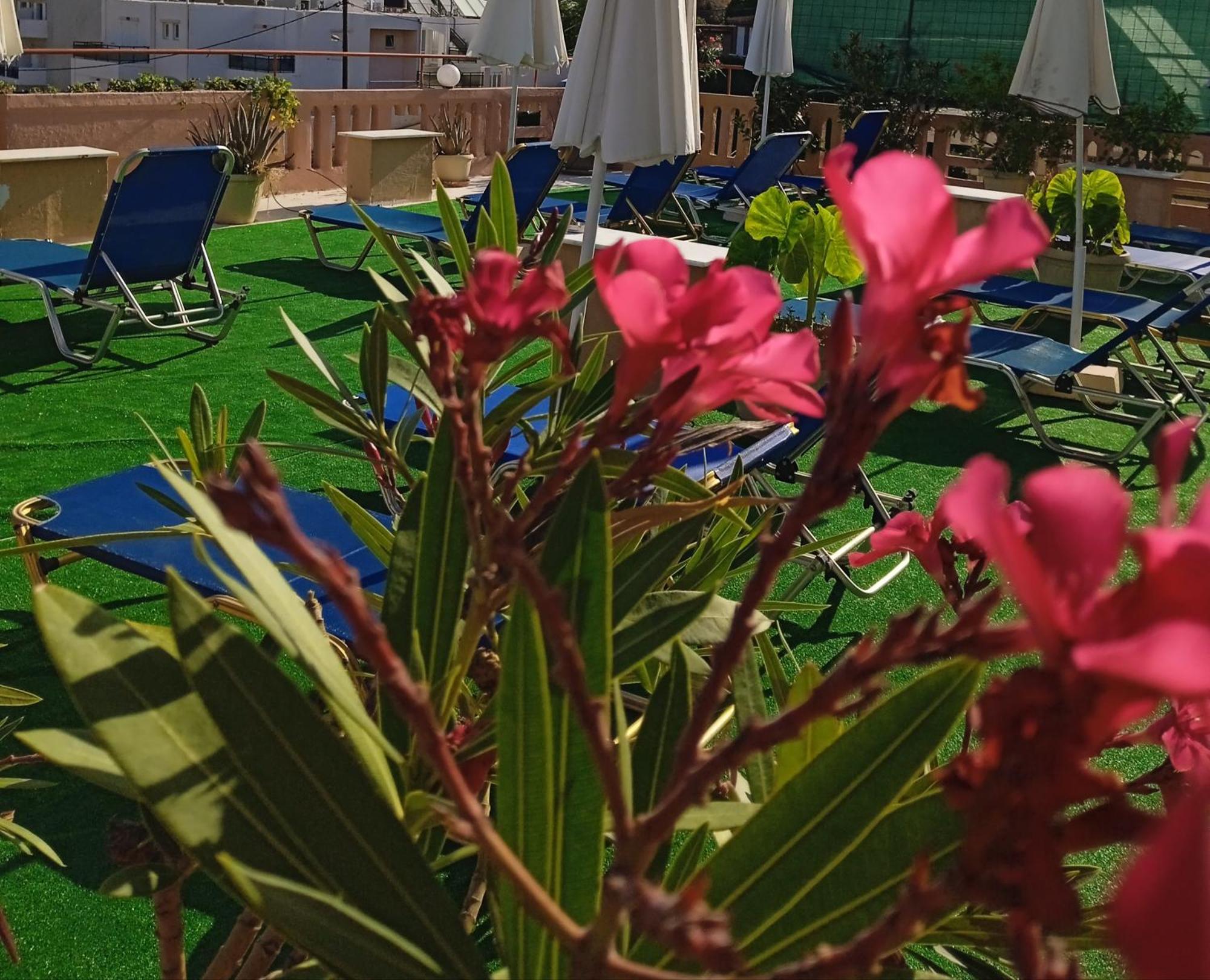 Ilona Apartments Chania Kato Daratso Bilik gambar